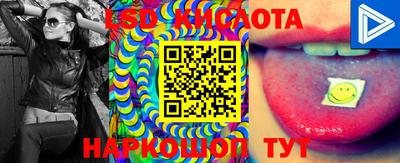 стаф Будённовск