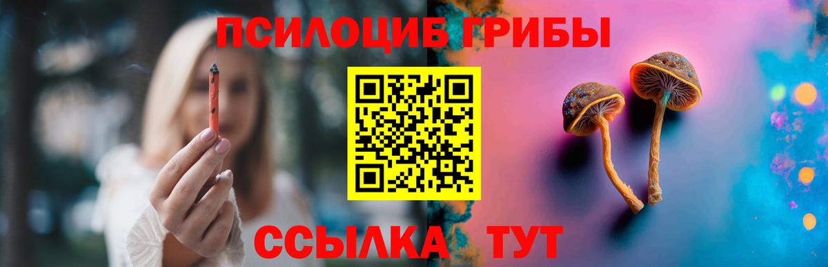 Галлюциногенные грибы прущие грибы  Галлюциногенные грибы Cubensis  Славянск-на-Кубани  Вход с VPN 